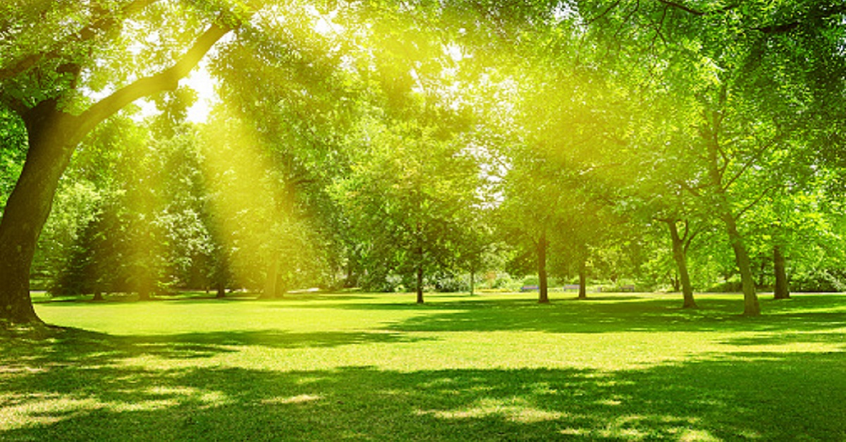 Today, July 11, warm weather is expected in Samarkand