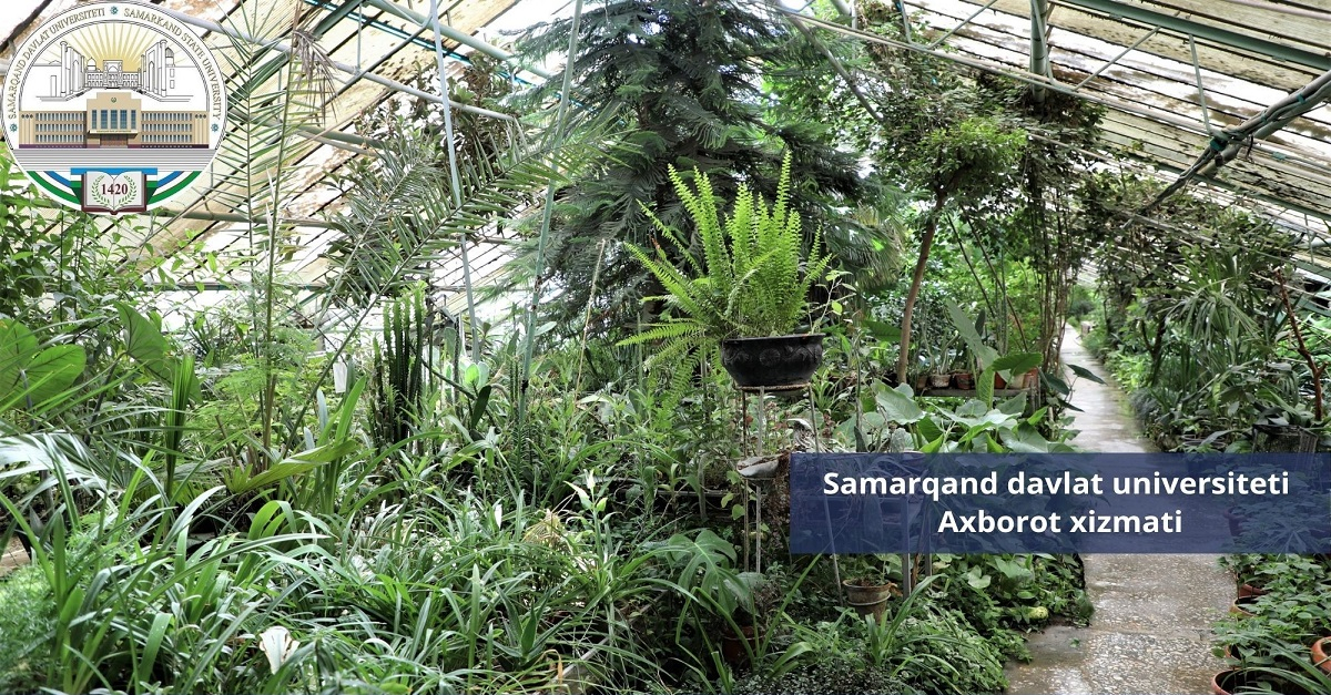 Photo from the greenhouse of Samarkand State University