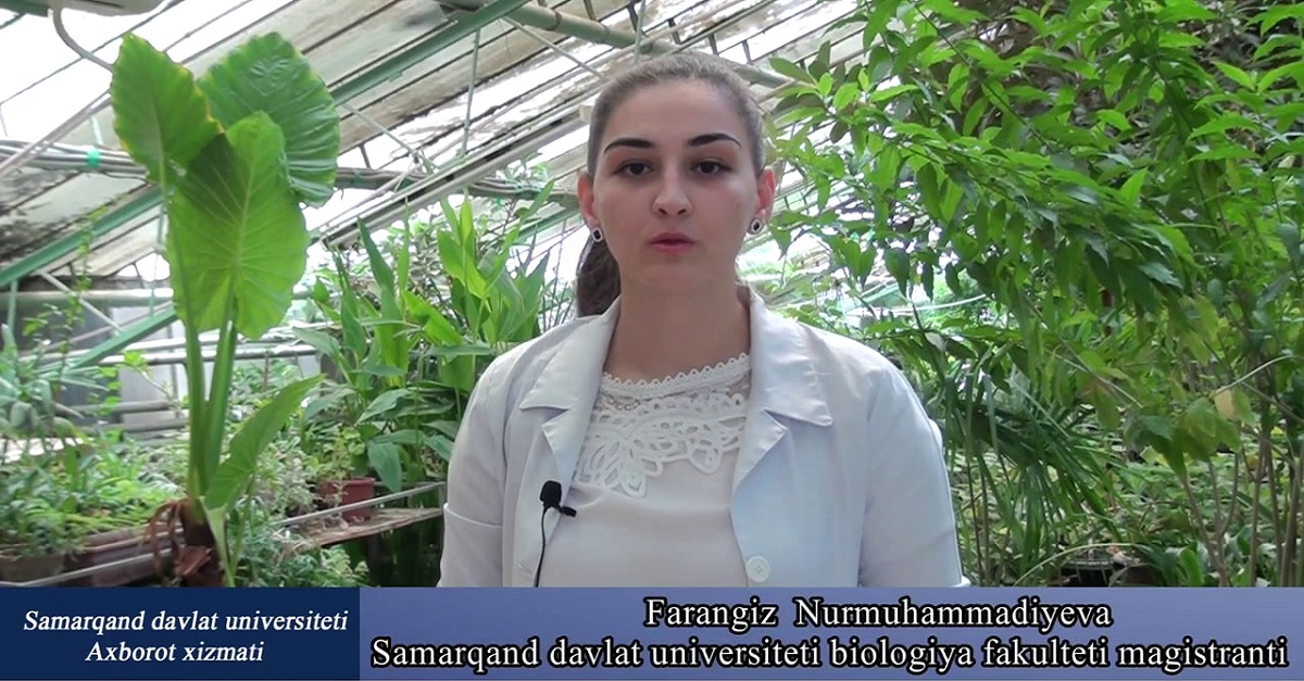 Research in a greenhouse