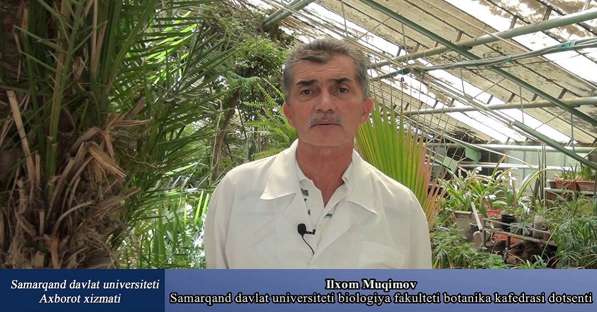 Scientific research conducted in the greenhouse of Samarkand State University..