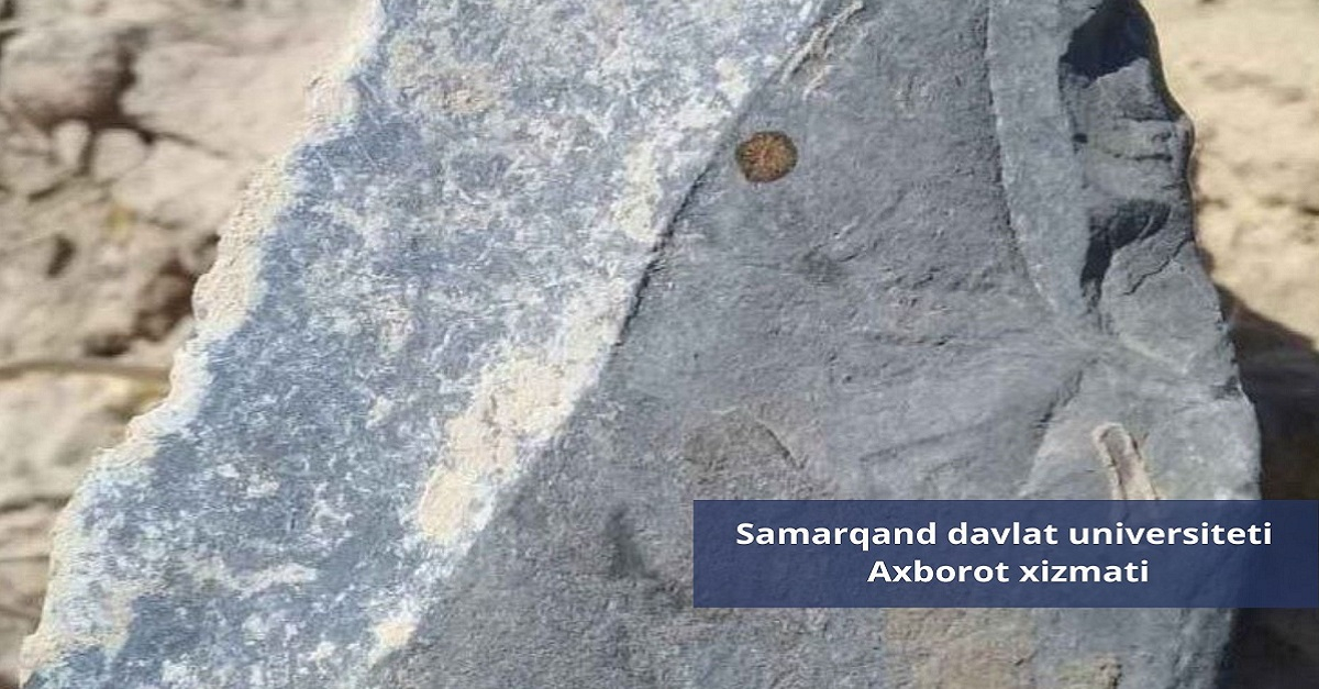 Scientists of the Samarkand State University discovered stone products on the territory of the Kushrabat region, whose age is 30 thousand years ...