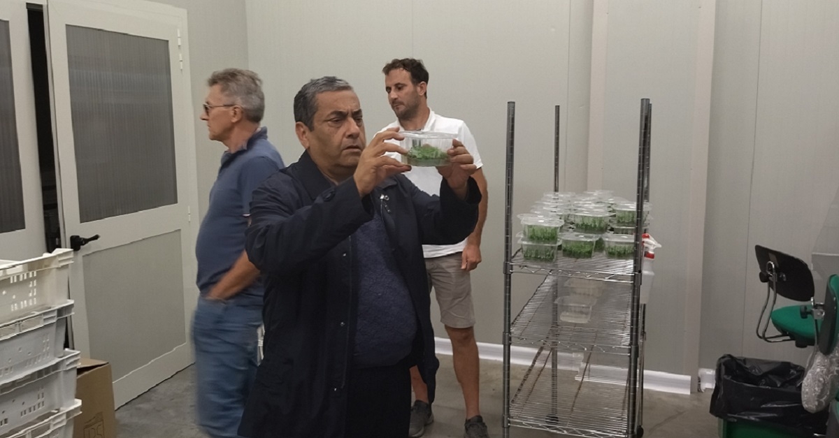 SamSU scientists got acquainted with the activities of the Italian nursery company 