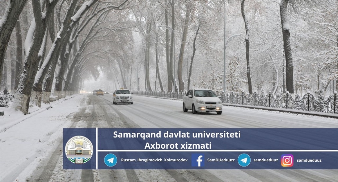 Winter landscapes on University Boulevard...