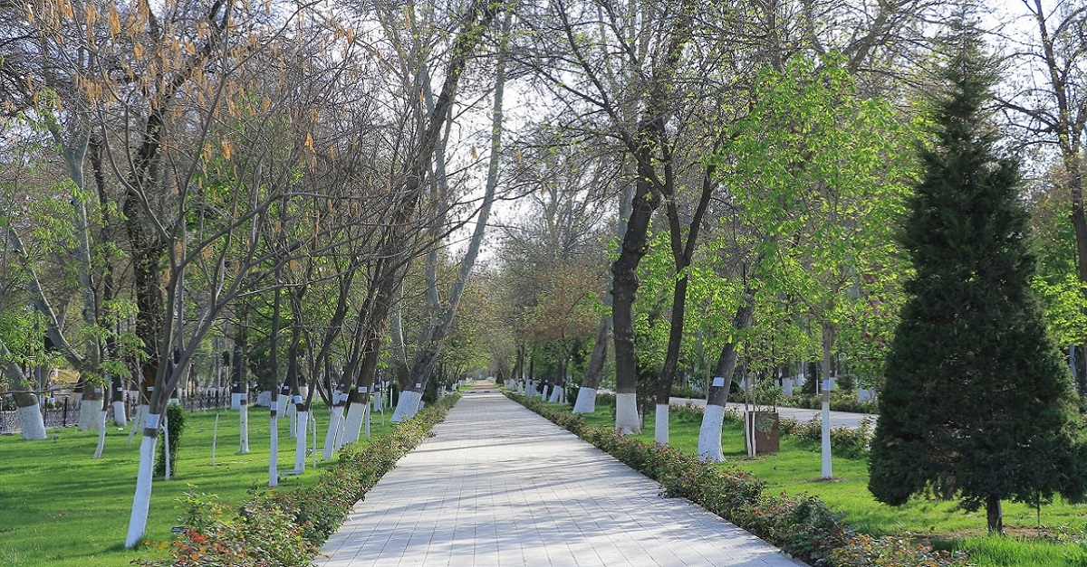 Bugun, 31-mart kuni Samarqandda qanday ob-havo kutilmoqda?