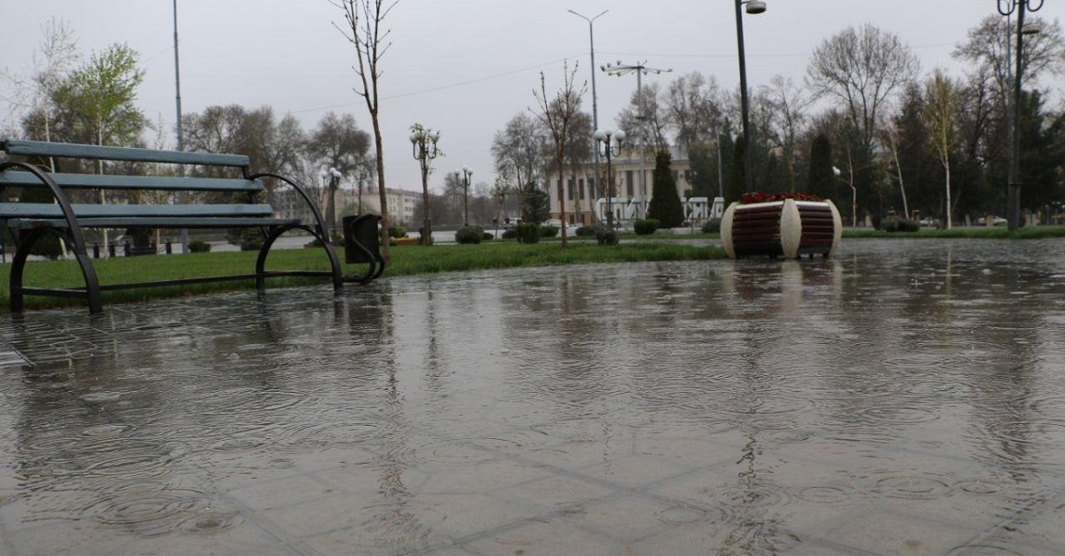 Bugun, 8-aprel kuni Samarqandda qanday ob-havo kutilmoqda?